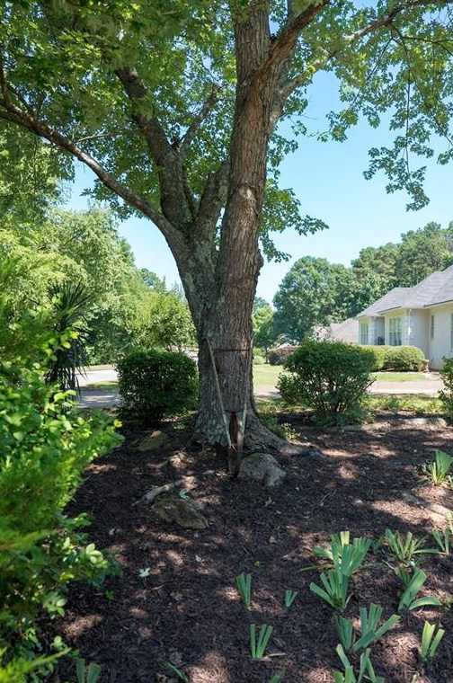 1920 Calvin Dr, Duluth GA 30097-5113 exterior