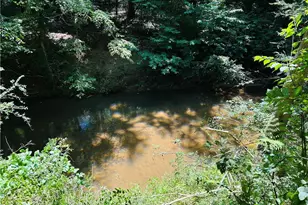 4542 E Hall Rd, Gainesville, GA 30507 - Photo 11