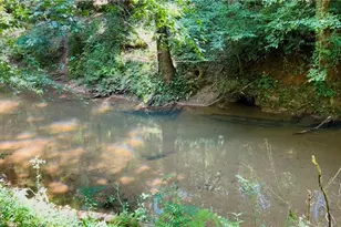 4542 E Hall Rd, Gainesville, GA 30507 - Photo 9