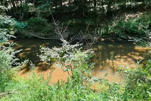 4542 E Hall Rd, Gainesville, GA 30507 - Photo 13