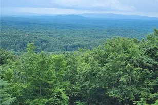 870 Morton Dr, Ellijay, GA 30540 - Photo 29