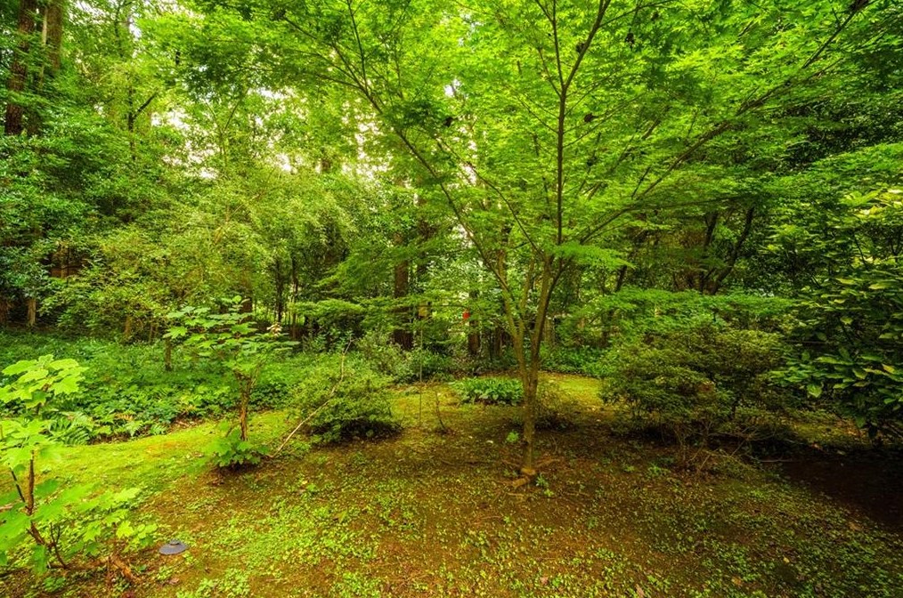 3993 Menlo Dr, Atlanta GA  30340-5117 exterior