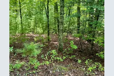 0 Hillbilly Holler, Blue Ridge, GA 30513 - Photo 5
