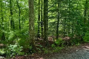 0 Hillbilly Holler, Blue Ridge, GA 30513 - Photo 3