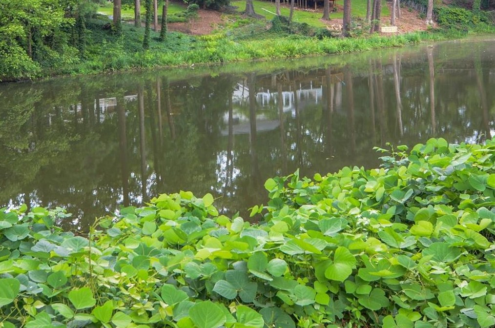 3650 Ashford Dunwoody Rd, Atlanta GA  30319-2020 exterior