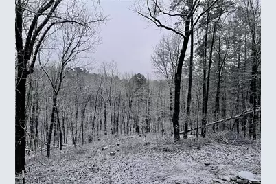 832 Adair Drive, Ranger, GA 30734 - Photo 11