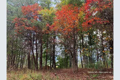 1020 Mayfield Lane, Ranger, GA 30734 - Photo 11
