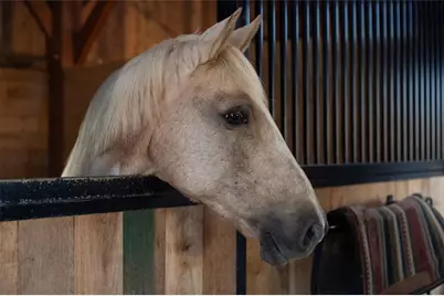 1990 Elder Mill Road, Watkinsville, GA 30677 - Photo 51