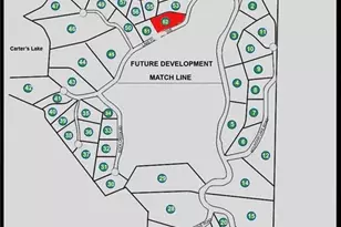 154 Lake Forest Dr Lot 52, Ellijay, GA 30540 - Photo 13