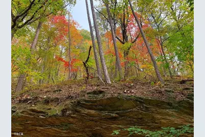 953 Longbranch Drive, Ranger, GA 30734 - Photo 13