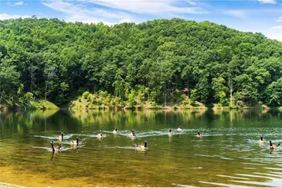 953 Longbranch Drive, Ranger, GA 30734 - Photo 43