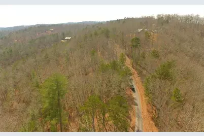 953 Longbranch Drive, Ranger, GA 30734 - Photo 33