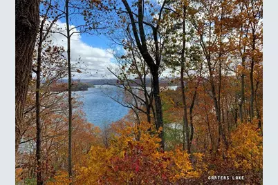 953 Longbranch Drive, Ranger, GA 30734 - Photo 35