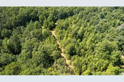 50 Loyal Drive, Dahlonega, GA 30533 - Photo 7