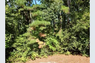 350 Hummingbird Drive, Monticello, GA 31064 - Photo 7