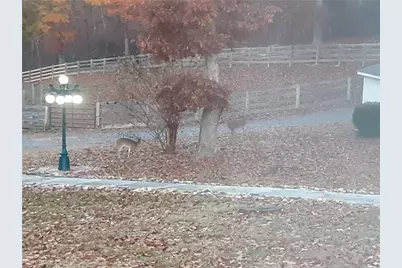 9600 Old Hwy 411 Highway S, Chatsworth, GA 30705 - Photo 67