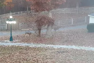 9600 Old Hwy 411 Hwy S, Chatsworth, GA 30705 - Photo 67