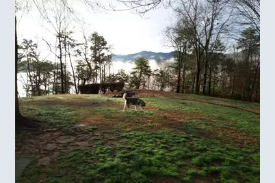 9600 Old Hwy 411 Highway S, Chatsworth, GA 30705 - Photo 93