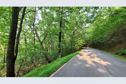 1012 Wild Turkey Bluff, Jasper, GA 30143 - Photo 11