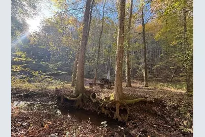 650 Mulberry Trail, Ellijay, GA 30540 - Photo 11