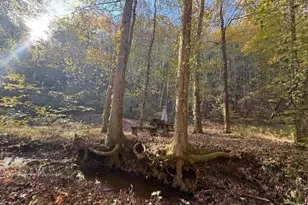 650 Mulberry Trail, Ellijay, GA 30540 - Photo 11