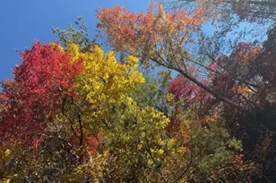 650 Mulberry Trail, Ellijay, GA 30540 - Photo 1