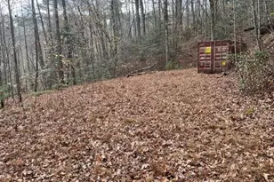 650 Mulberry Trail, Ellijay, GA 30540 - Photo 33