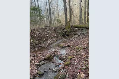 650 Mulberry Trail, Ellijay, GA 30540 - Photo 29