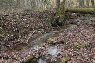 650 Mulberry Trail, Ellijay, GA 30540 - Photo 29