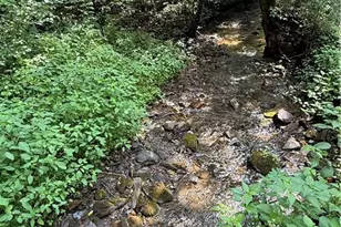 650 Mulberry Trail, Ellijay, GA 30540 - Photo 31