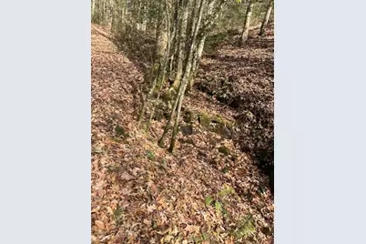 650 Mulberry Trail, Ellijay, GA 30540 - Photo 37