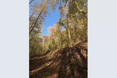 650 Mulberry Trail, Ellijay, GA 30540 - Photo 13