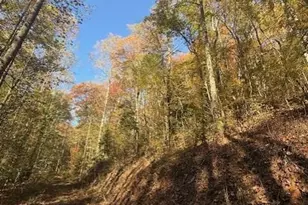 650 Mulberry Trail, Ellijay, GA 30540 - Photo 13