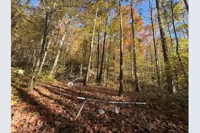 650 Mulberry Trail, Ellijay, GA 30540 - Photo 13