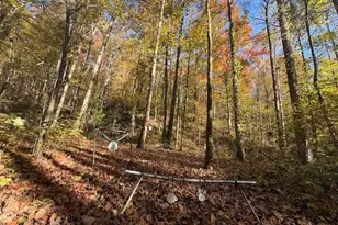 650 Mulberry Trail, Ellijay, GA 30540 - Photo 13