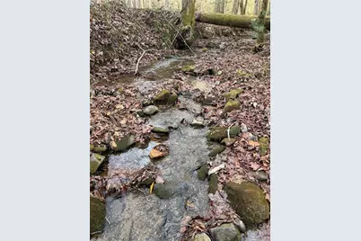 650 Mulberry Trail, Ellijay, GA 30540 - Photo 29