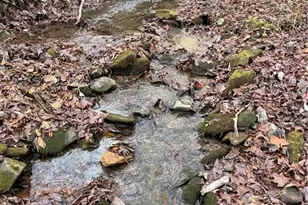 650 Mulberry Trail, Ellijay, GA 30540 - Photo 29