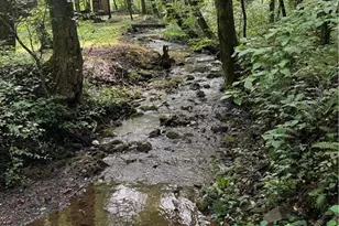 650 Mulberry Trail, Ellijay, GA 30540 - Photo 3