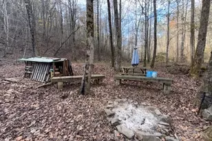 650 Mulberry Trail, Ellijay, GA 30540 - Photo 19