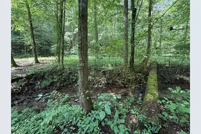 650 Mulberry Trail, Ellijay, GA 30540 - Photo 27