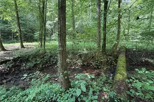 650 Mulberry Trail, Ellijay, GA 30540 - Photo 27