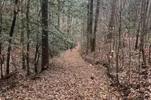 650 Mulberry Trail, Ellijay, GA 30540 - Photo 33