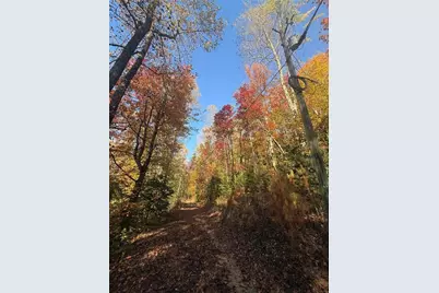 650 Mulberry Trail, Ellijay, GA 30540 - Photo 11