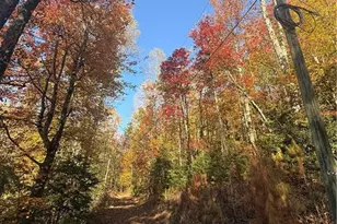 650 Mulberry Trail, Ellijay, GA 30540 - Photo 11