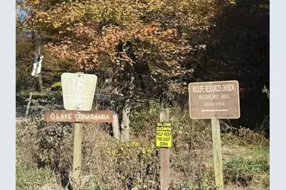 650 Mulberry Trail, Ellijay, GA 30540 - Photo 15