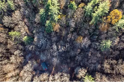 650 Mulberry Trail, Ellijay, GA 30540 - Photo 23