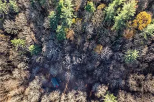 650 Mulberry Trail, Ellijay, GA 30540 - Photo 23