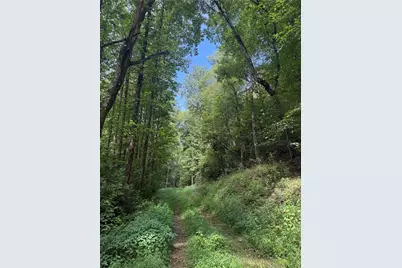 650 Mulberry Trail, Ellijay, GA 30540 - Photo 31