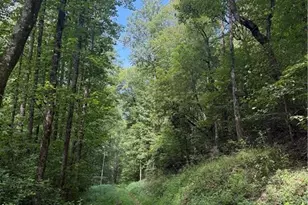 650 Mulberry Trail, Ellijay, GA 30540 - Photo 31