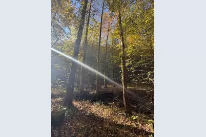 650 Mulberry Trail, Ellijay, GA 30540 - Photo 9